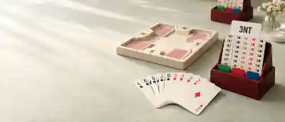 Bridge board and pieces