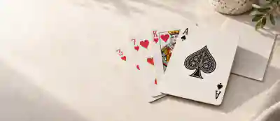 Call Break board and pieces