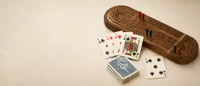 Cribbage board and pieces