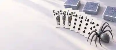 Spider Solitaire board and pieces